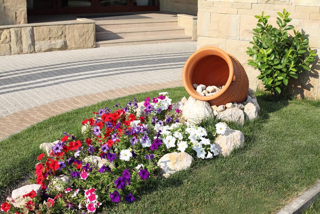 Hotel Danubia Park Veliko Gradište Zewnętrze zdjęcie